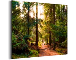 Aluminium schilderij 160x120 cm - Wanddecoratie metaal - Bos - Pad - Bomen - Groen - Zon - Natuur - Metalen muurdecoratie woonkamer - Decoratie industrieel - Foto op dibond - Industriële accessoires slaapkamer