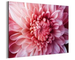 Aluminium schilderij 180x120 cm - Wanddecoratie metaal - Dahlia - Bloem - Close up - Roze - Metalen muurdecoratie woonkamer - Decoratie industrieel - Foto op dibond - Industriële accessoires slaapkamer