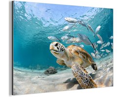 Aluminium schilderij 180x120 cm - Wanddecoratie metaal - Schildpad - Vis - Zee - Metalen muurdecoratie woonkamer - Decoratie industrieel - Foto op dibond - Industriële accessoires slaapkamer