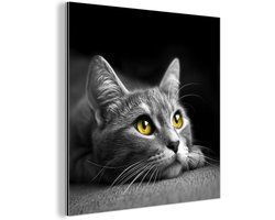 Aluminium schilderij 20x20 cm - Wanddecoratie metaal - Kat - Zwart - Wit - Dieren - Natuur - Metalen muurdecoratie woonkamer - Decoratie industrieel - Foto op dibond - Industriële accessoires slaapkamer