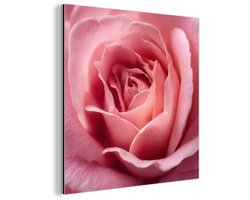 Aluminium schilderij 20x20 cm - Wanddecoratie metaal - Roze - Roos - Romantisch - Metalen muurdecoratie woonkamer - Decoratie industrieel - Foto op dibond - Industriële accessoires slaapkamer