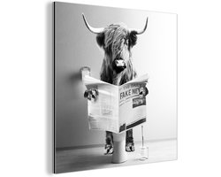 Aluminium schilderij 20x20 cm - Wanddecoratie metaal - Schotse hooglander - WC - Krant - Grappig - Dier - Metalen muurdecoratie woonkamer - Decoratie industrieel - Foto op dibond - Industriële accessoires slaapkamer