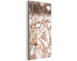 Aluminium schilderij 20x40 cm - Wanddecoratie metaal - Droogbloemen - Wit - Planten - Metalen muurdecoratie woonkamer - Decoratie industrieel - Foto op dibond - Industriële accessoires slaapkamer