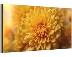 Aluminium schilderij 40x20 cm - Wanddecoratie metaal - Geel - Chrysant - Zachtheid - Metalen muurdecoratie woonkamer - Decoratie industrieel - Foto op dibond - Industriële accessoires slaapkamer