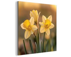 Aluminium schilderij 50x50 cm - Wanddecoratie metaal - Bloemen - Geel - Wazig - Metalen muurdecoratie woonkamer - Decoratie industrieel - Foto op dibond - Industriële accessoires slaapkamer