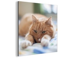 Aluminium schilderij 50x50 cm - Wanddecoratie metaal - Kat - Bed - Bedsprei - Meisjes - Kinderen - Jongens - Kind - Metalen muurdecoratie woonkamer - Decoratie industrieel - Foto op dibond - Industriële accessoires slaapkamer