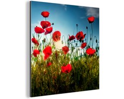 Aluminium schilderij 50x50 cm - Wanddecoratie metaal - Klaprozen - Toscane - Zon - Rood - Blauw - Metalen muurdecoratie woonkamer - Decoratie industrieel - Foto op dibond - Industriële accessoires slaapkamer