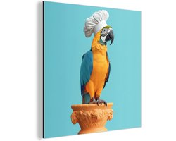 Aluminium schilderij 50x50 cm - Wanddecoratie metaal - Papegaai - Koksmuts - Grappig - Vogel - Metalen muurdecoratie woonkamer - Decoratie industrieel - Foto op dibond - Industriële accessoires slaapkamer