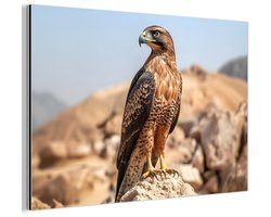 Aluminium schilderij 60x40 cm - Wanddecoratie metaal - Valk - Vogel - Rots - Macht - Metalen muurdecoratie woonkamer - Decoratie industrieel - Foto op dibond - Industriële accessoires slaapkamer