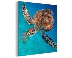 Aluminium schilderij 90x90 cm - Wanddecoratie metaal - Groene schildpad met kwal - Metalen muurdecoratie woonkamer - Decoratie industrieel - Foto op dibond - Industriële accessoires slaapkamer