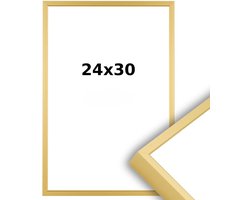 Aluminium Wissellijst 24 x 30 Mat Champagne Goud - Ontspiegeld Glas - Professional