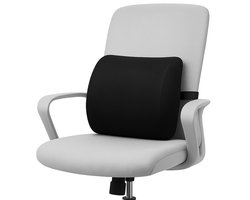Alyze Ergonomische Rugkussen - Lendekussen Auto - Onderrug - Leeskussen - Traagschuim - Rugsteun Bed & Bank - Orthopedisch Steunkussen met Wasbare Hoes