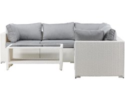 Amazon loungeset 2 delen grijs,wit.