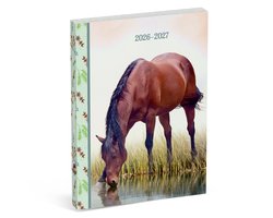 Amazone schoolagenda 2026/2027 - bruin paard