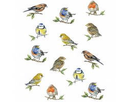 Ambiente Keukendoek Bird Species wit 70x50cm