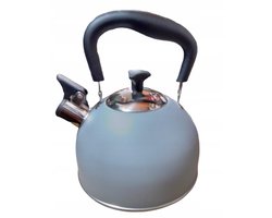 Ambition Teekan Staal Grijze Waterkoker 1,8L - Geschikt voor Inductie