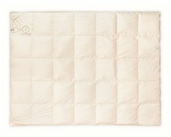 AMZ Biologisch Katoen zomerdekbed 200x220cm - 90% ganzendons