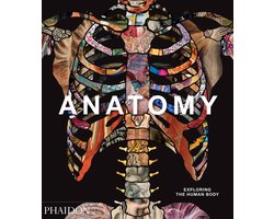 Anatomy: Exploring the Human Body