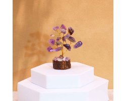 Ancient Wisdom - Decoratief beeld - Mini edelsteenboompjes op houten voet - amethist - ornament - keramiek - decoratie - huisaccessoire