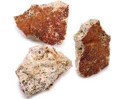 Ancient Wisdom - Decoratieve schaal - Handgeblazen glas met Gamal-hout - Multicolor - Kamerplanten - Zen-tuin - Drijvende kaarsen - Unieke decoratie - Natuurlijke kunstwerken