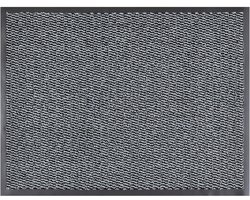 andiamo Easy deurmat - vuilvangmat voor de entree van uw huis - flexibel inzetbaar als binnendeurmat, deurmat in overdekte buitenruimtes of als schoenmat 90 x 150 cm Lichtgrijs