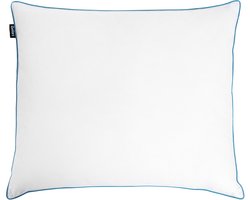 ANETO - Hoofdkussen 3 vakken - Wit - 50 x 60 cm - Laag - Eendenveren