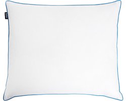 ANETO - Hoofdkussen 3 vakken - Wit - 80 x 80 cm - Hoog - Eendenveren