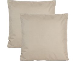 Anna's collection Buiten of tuin sier kussens - 2x - taupe - 45 x 45 cm - binnen/buiten - zitkussens tuinbank