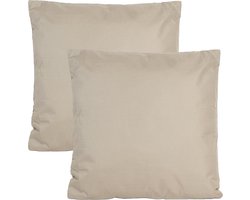 Anna's collection Buiten of tuin sier kussens - 2x - taupe/beige - 60 x 60 cm - binnen/buiten - zitkussens tuinbank
