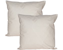Anna's collection Buiten of tuin sier kussens - 2x - zand/beige - 45 x 45 cm - binnen/buiten - zitkussens tuinstel