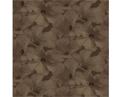 Annuell Hibiscus koper 11006