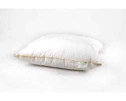 Anti-allergisch Hoofdkussen -60X70cm- 2stuks