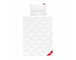 Anti-allergische winterdeken 100x135 cm + kissen 40x60 cm set