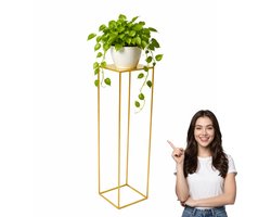 Anwicar Plantenstandaard Goud Hoogte 100 cm - Metaal Plantenrek - Plantentafel - Kamerplanten - Bloempotten voor Binnen en Buiten