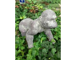 Apen beeld grote gorilla grijs/wit 25 x 30 x 20 cm