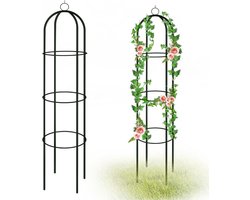 ApexArte® Klimrek Planten - Plantensteunen voor Klimplanten - Wandrek voor Buiten - Metaal