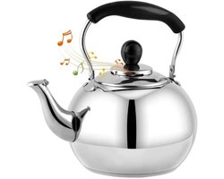 Apple - waterketel - 5.0L - roestvrij staal - zilver - geschikt voor gas, elektrisch