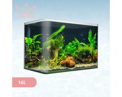 AquaKonings – Aquarium – Aquarium met afgeronde hoeken - Aquariumkit 35x20x23 16L