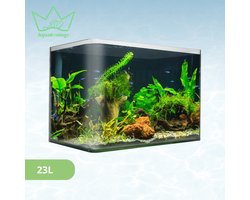 AquaKonings – Aquarium – Aquarium met afgeronde hoeken - Aquariumkit 40x23x25 23L