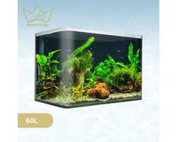 AquaKonings – Aquarium – Aquarium met afgeronde hoeken - Aquariumkit 60x30x36 64L