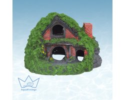 AquaKonings - Aquarium decoratie - Ornamenten - Overwoekerd huis- 13x12x9