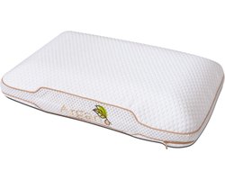 Argan Deluxe Aero traagschuim hoofkussen | 60x40x12 cm | Ergonomisch kussen | Argan Olie | Gezonde nachtrust