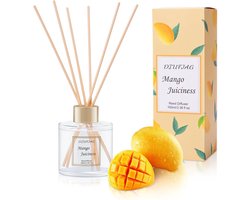 Aromatherapie Geurverspreider 100 ml met Riet en Vezelstokken - Home & Slaapkamer luchtverfrisser