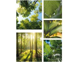 Art for the Home groene Stilte Canvas Set van 5 80x60 cm