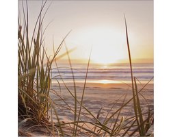 Art for the Home Zonsondergang Duinen Buitencanvas 50x50 cm