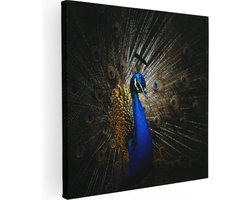 Artaza Canvas Schilderij Blauwe Pauw Met Grote Veren - 30x30 - Klein - Foto Op Canvas - Canvas Print