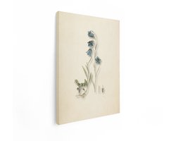 Artaza Canvas Schilderij Gedetailleerde Botanische Illustratie van Blauwe Klokjesbloemen met Wortels en Bloemdetails - 30x40 cm - Klein - Wanddecoratie Woonkamer - Schilderijen - Muurdecoratie