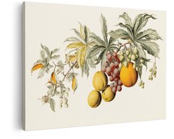 Artaza Canvas Schilderij Gedetailleerde Botanische Illustratie van Diverse Vruchten en Bladeren aan een Tak - 90x60 cm - Wanddecoratie Woonkamer - Schilderijen - Muurdecoratie