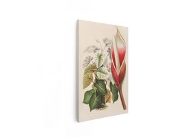 Artaza Canvas Schilderij Gedetailleerde Botanische Illustratie van een Arisaema-Plant met Bloem en Bladeren - 60x90 cm - Wanddecoratie Woonkamer - Schilderijen - Muurdecoratie