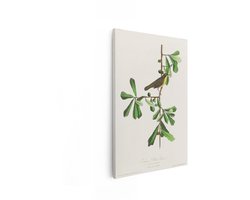 Artaza Canvas Schilderij Gedetailleerde Illustratie van een Geelkeelzanger op een Tak met Bladeren en Eikels - 40x60 cm - Wanddecoratie Woonkamer - Schilderijen - Muurdecoratie